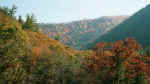 Pond Mountain Fall Scene