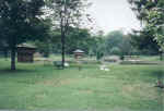Greenvillepark.jpg (25909 bytes)